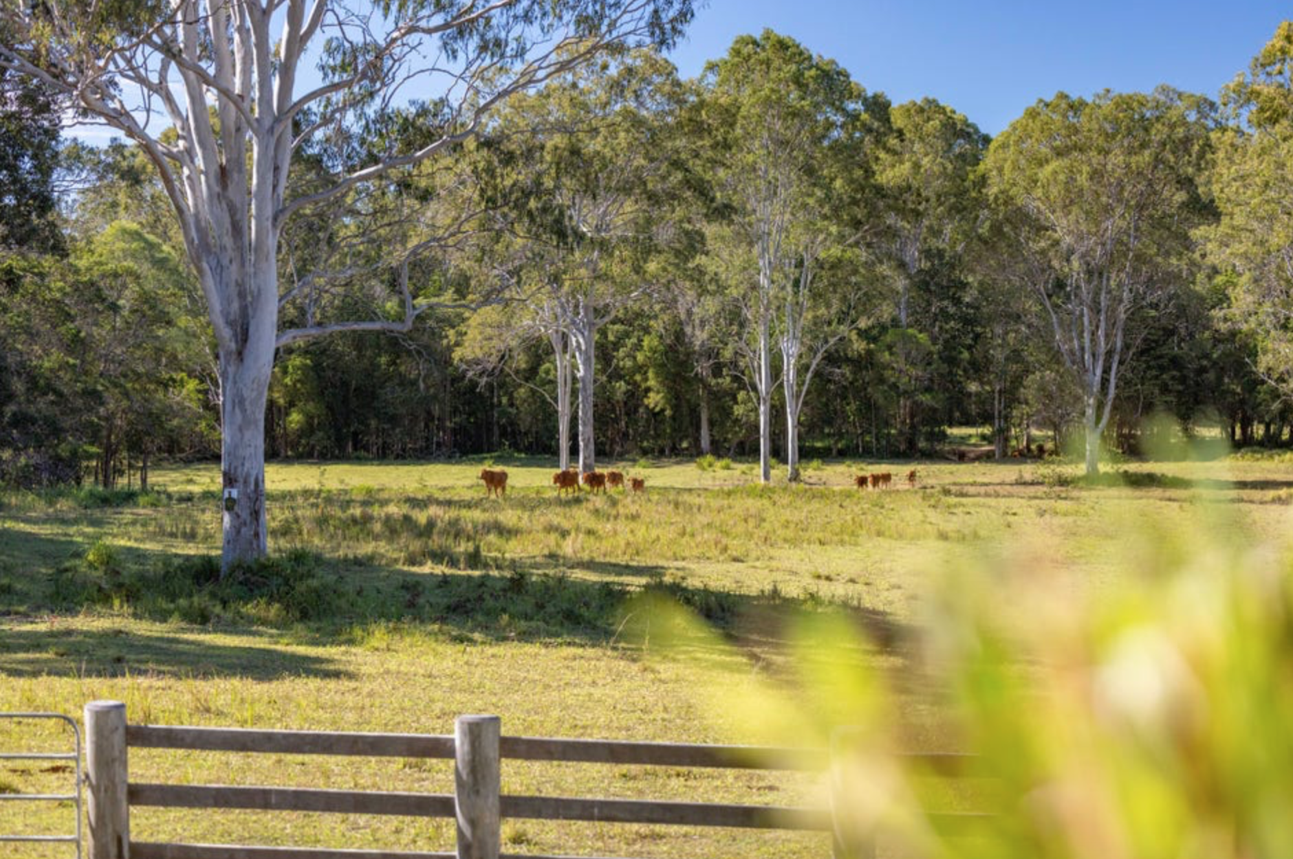 The Farm – Noosa Hinterland